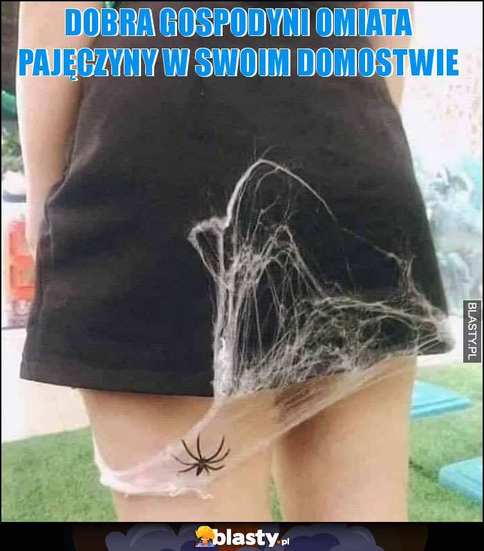 DOBRA GOSPODYNI OMIATA PAJĘCZYNY W SWOIM DOMOSTWIE DOBRA GOSPODYNI OMIATA PAJĘCZYNY W SWOIM DOMOSTWIE