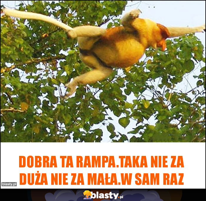 Dobra ta rampa.Taka nie za duża nie za mała.W sam raz Dobra ta rampa.Taka nie za duża nie za mała.W sam raz