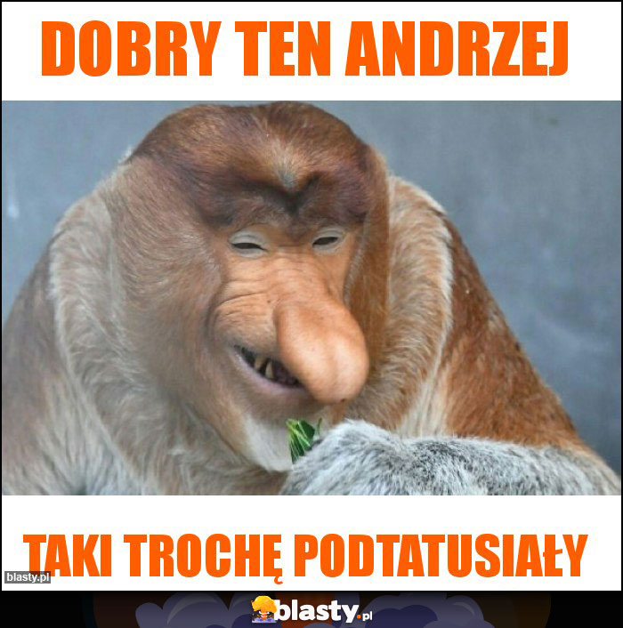 Dobry ten Andrzej Dobry ten Andrzej