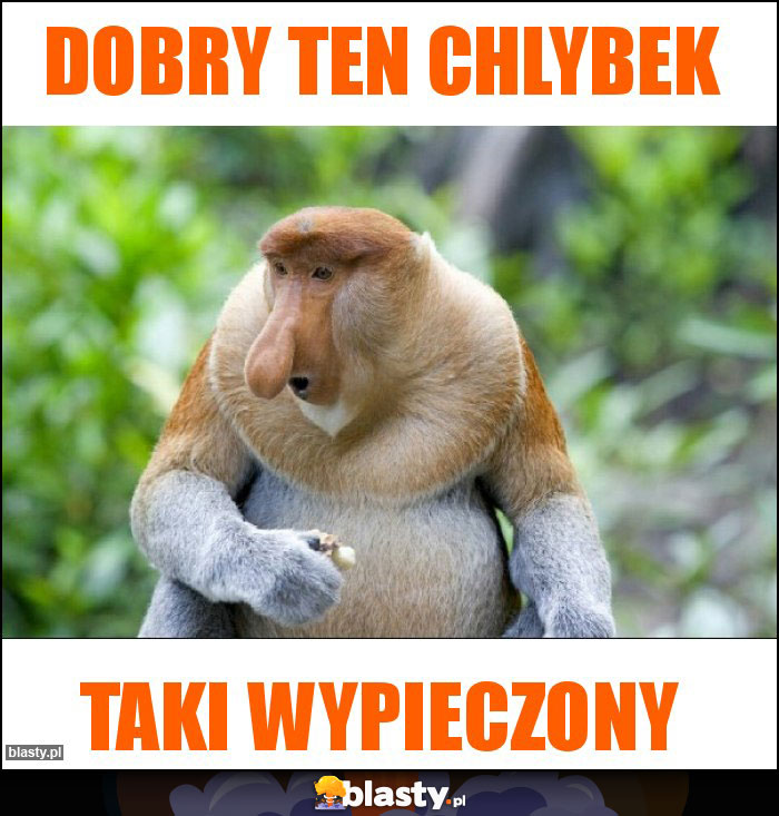 Dobry ten chlybek Dobry ten chlybek