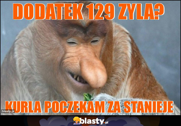 Dodatek 129 zyla? Dodatek 129 zyla?