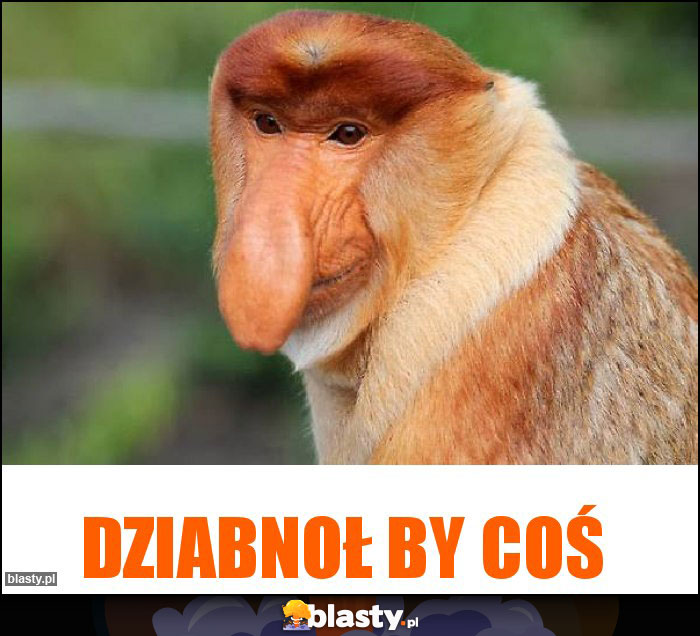 DZIABNOŁ BY COŚ DZIABNOŁ BY COŚ