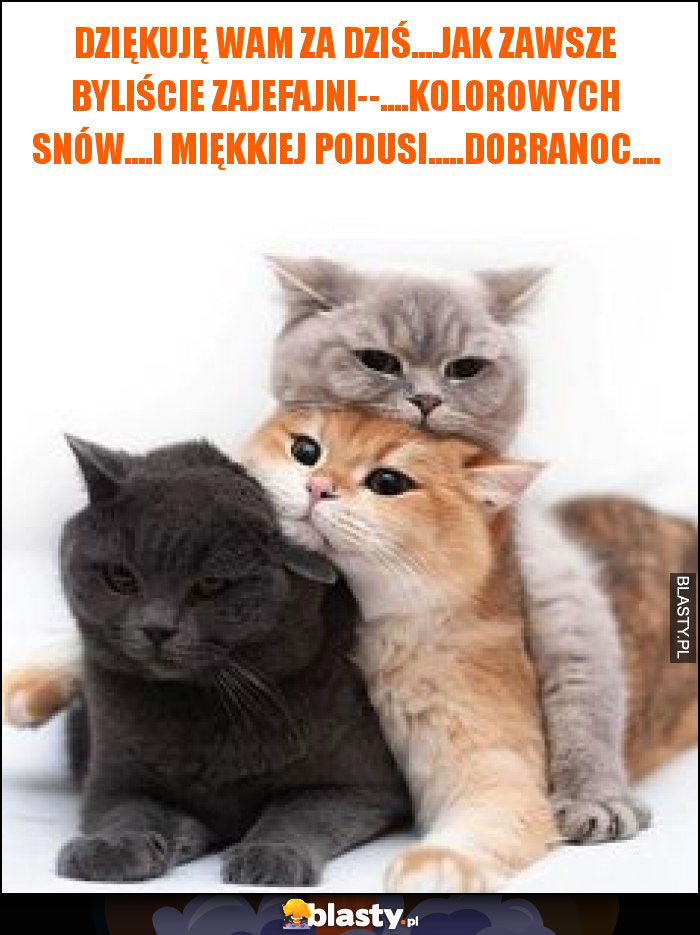 Dziękuję wam za dziś....Jak zawsze byliście zajefajni--....kolorowych snów....i miękkiej podusi.....Dobranoc.... Dziękuję wam za dziś....Jak zawsze byliście zajefajni--....kolorowych snów....i miękkiej podusi.....Dobranoc....