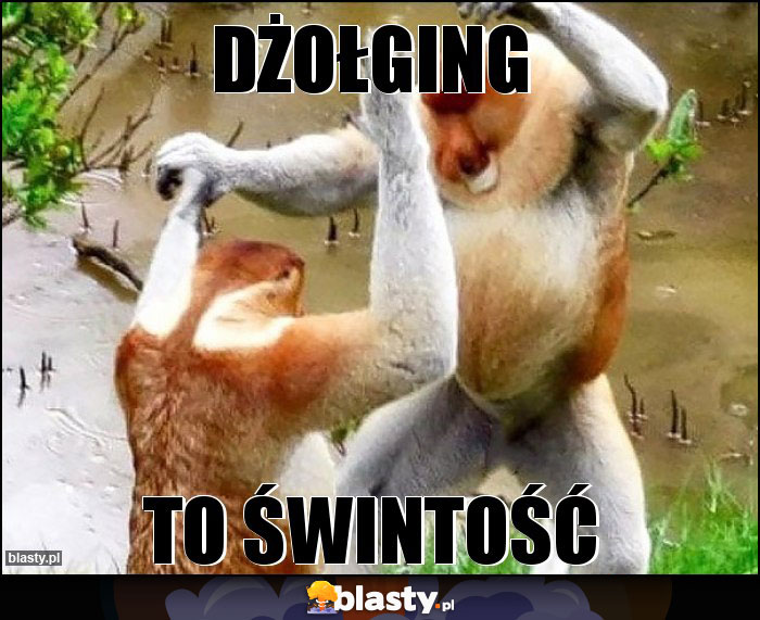 Dżołging