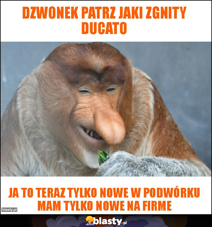 Dzwonek patrz jaki zgnity ducato Dzwonek patrz jaki zgnity ducato