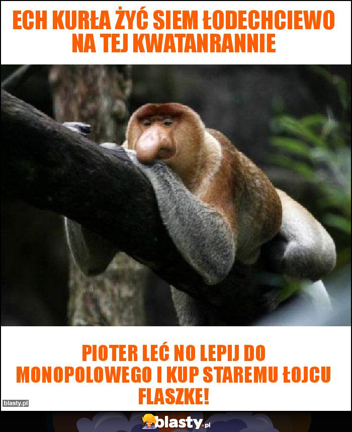 Ech kurła żyć siem łodechciewo na tej kwatanrannie Ech kurła żyć siem łodechciewo na tej kwatanrannie