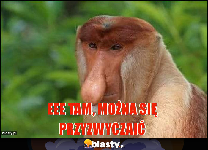 eee tam, można się przyzwyczaić eee tam, można się przyzwyczaić