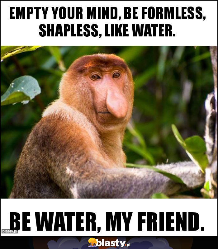 Empty your mind, be formless, shapless, like water. Empty your mind, be formless, shapless, like water.