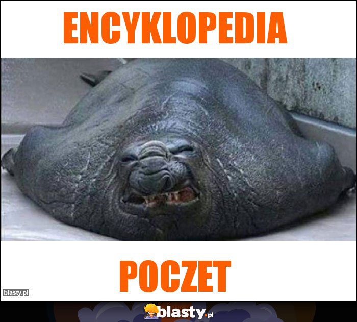 Encyklopedia Encyklopedia