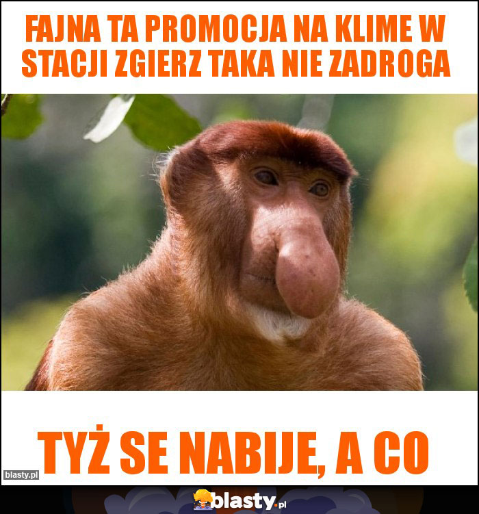 fajna ta promocja na klime w stacji zgierz taka nie zadroga fajna ta promocja na klime w stacji zgierz taka nie zadroga