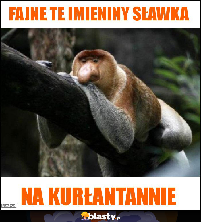 Fajne te imieniny sławka Fajne te imieniny sławka