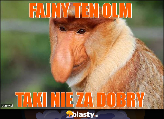 Fajny ten OLM Fajny ten OLM