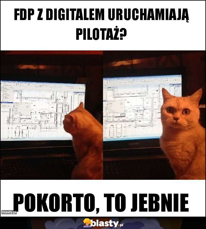 FDP z Digitalem uruchamiają pilotaż? FDP z Digitalem uruchamiają pilotaż?