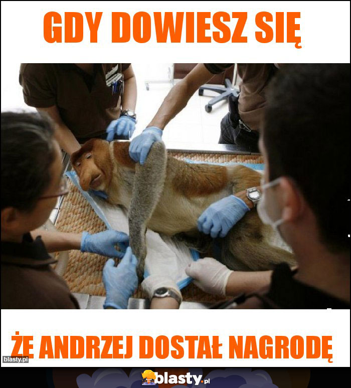 Gdy dowiesz się Gdy dowiesz się