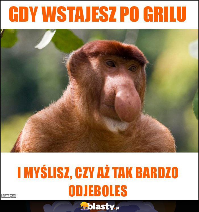 Gdy wstajesz po grilu Gdy wstajesz po grilu