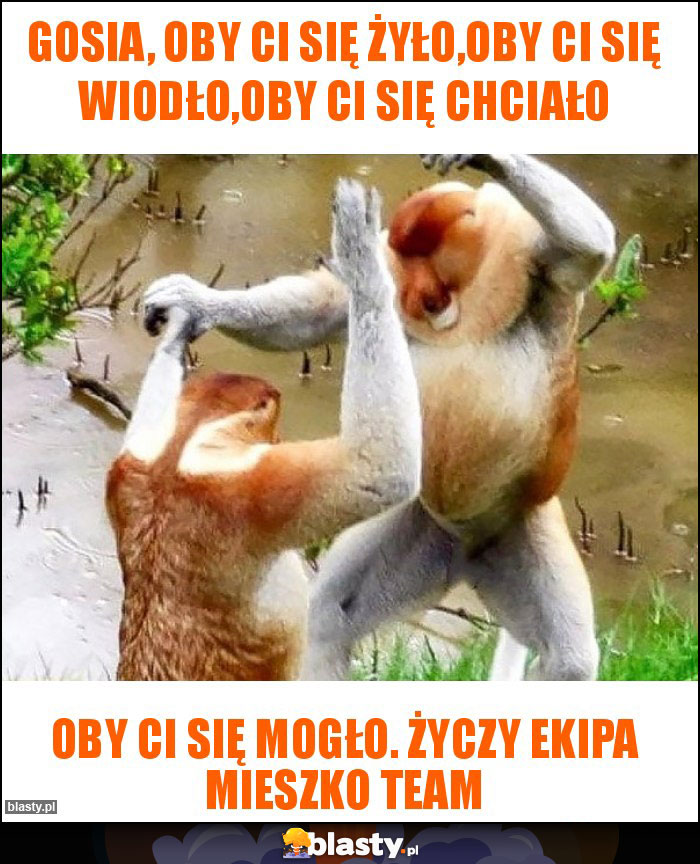 Gosia, Oby Ci się żyło,oby Ci się wiodło,oby Ci się chciało Gosia, Oby Ci się żyło,oby Ci się wiodło,oby Ci się chciało