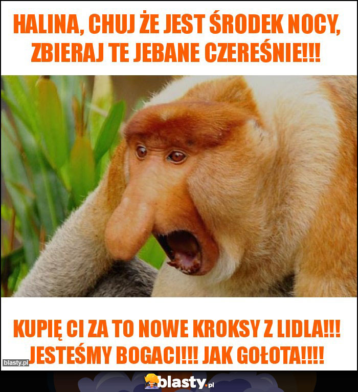 Halina, chuj że jest środek nocy, zbieraj te jebane czereśnie!!! Halina, chuj że jest środek nocy, zbieraj te jebane czereśnie!!!