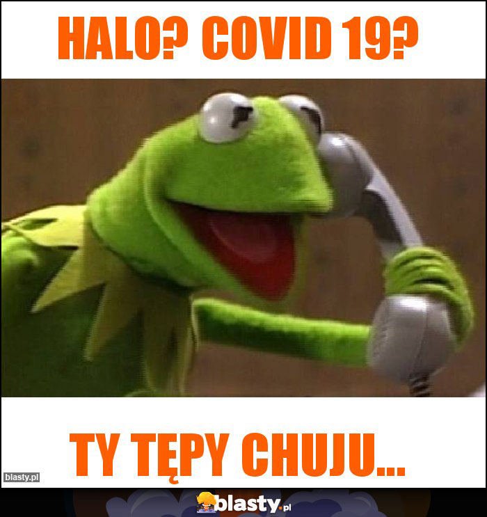Halo? COVID 19? Halo? COVID 19?
