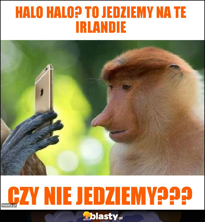 Halo halo? To jedziemy na te irlandie Halo halo? To jedziemy na te irlandie