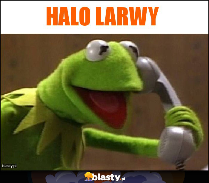 Halo larwy Halo larwy