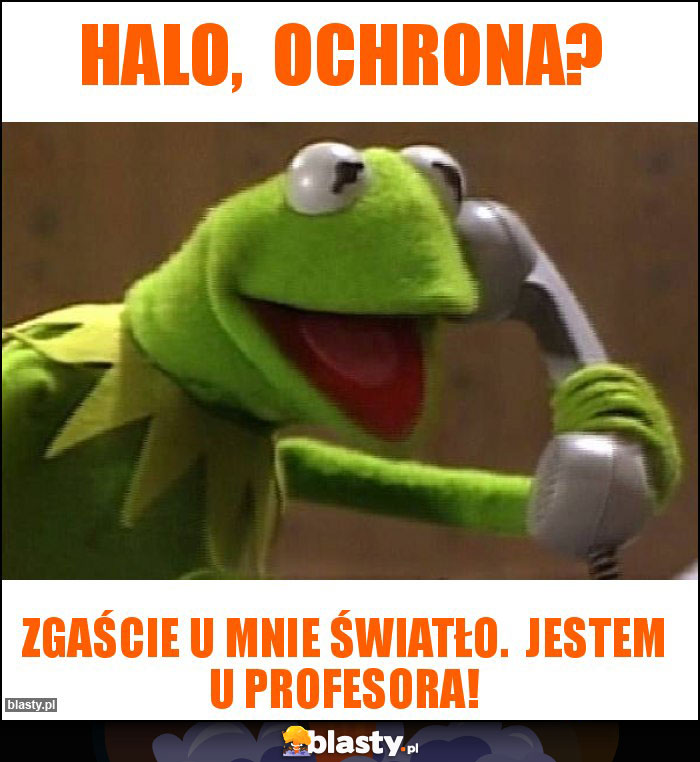 Halo, ochrona? Halo, ochrona?