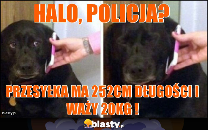HALO, POLICJA? HALO, POLICJA?