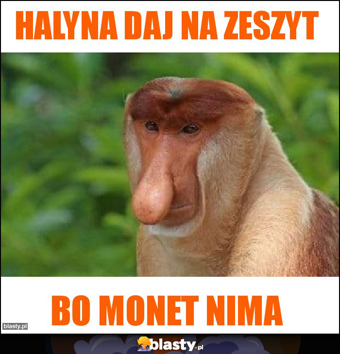 Halyna daj na zeszyt Halyna daj na zeszyt