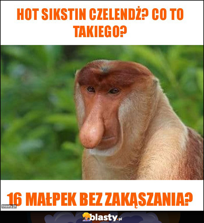 Hot sikstin czelendż? Co to takiego? Hot sikstin czelendż? Co to takiego?