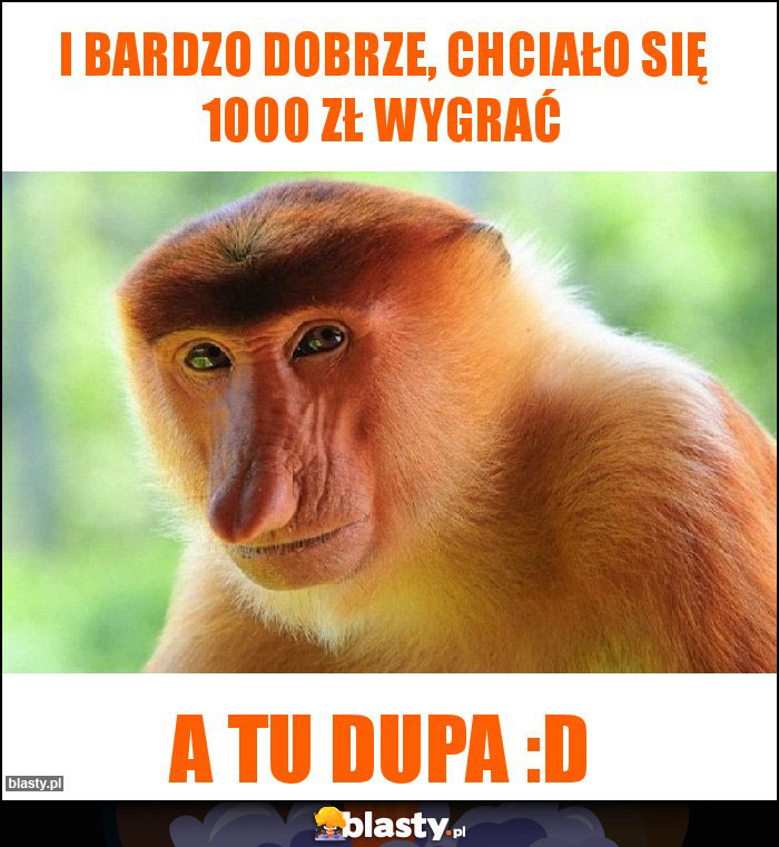 i bardzo dobrze, chciało się 1000 zł wygrać i bardzo dobrze, chciało się 1000 zł wygrać