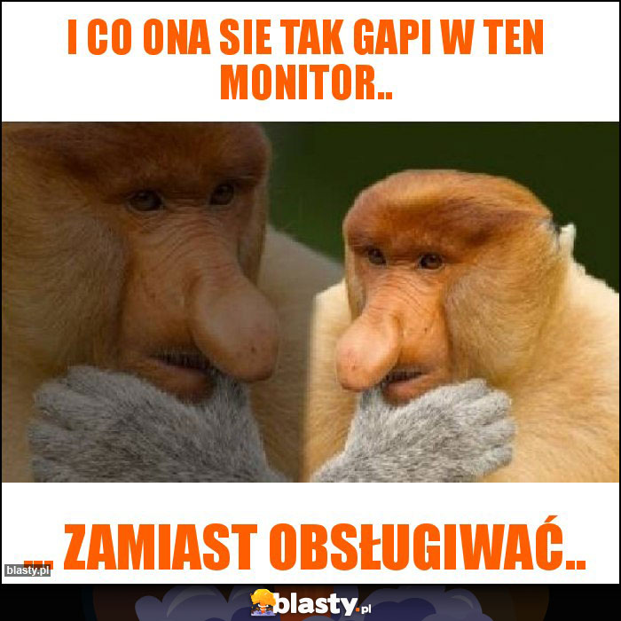 I co ona sie tak gapi w ten monitor.. I co ona sie tak gapi w ten monitor..