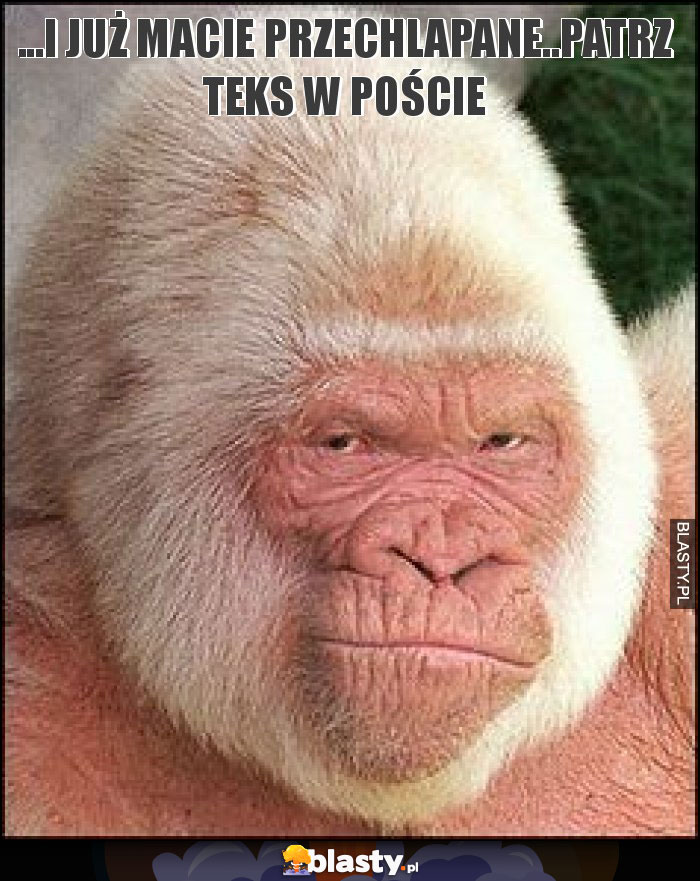 ...i już macie przechlapane..patrz teks w poście ...i już macie przechlapane..patrz teks w poście
