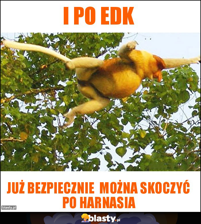 I po edk