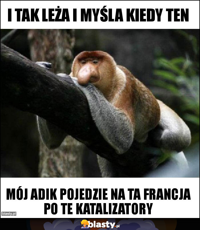 I tak leża i myśla kiedy ten I tak leża i myśla kiedy ten