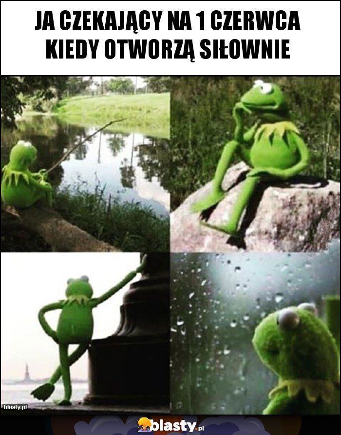 ja czekający na 1 czerwca kiedy otworzą siłownie ja czekający na 1 czerwca kiedy otworzą siłownie