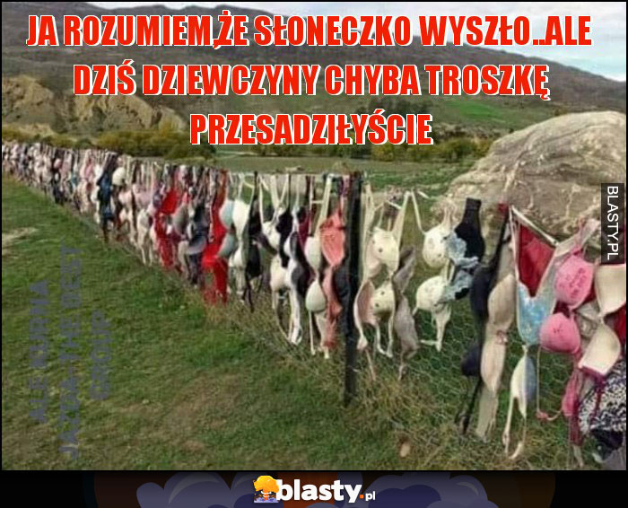 ja rozumiem,że słoneczko wyszło..ale dziś dziewczyny chyba troszkę przesadziłyście ja rozumiem,że słoneczko wyszło..ale dziś dziewczyny chyba troszkę przesadziłyście