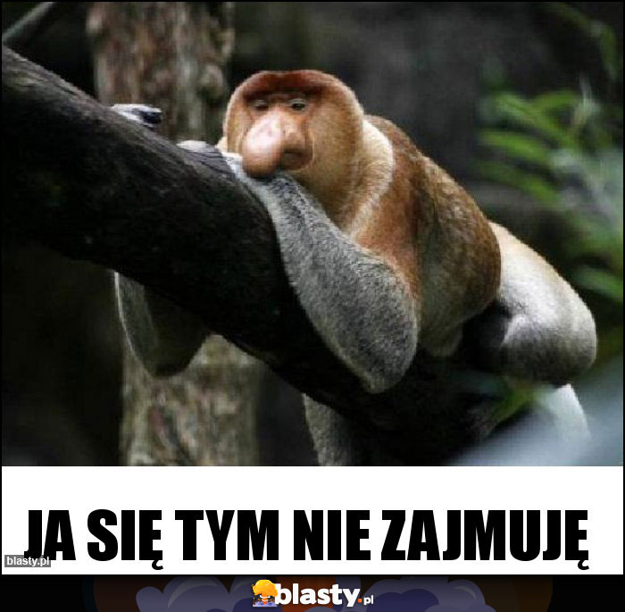 Ja się tym nie zajmuję Ja się tym nie zajmuję