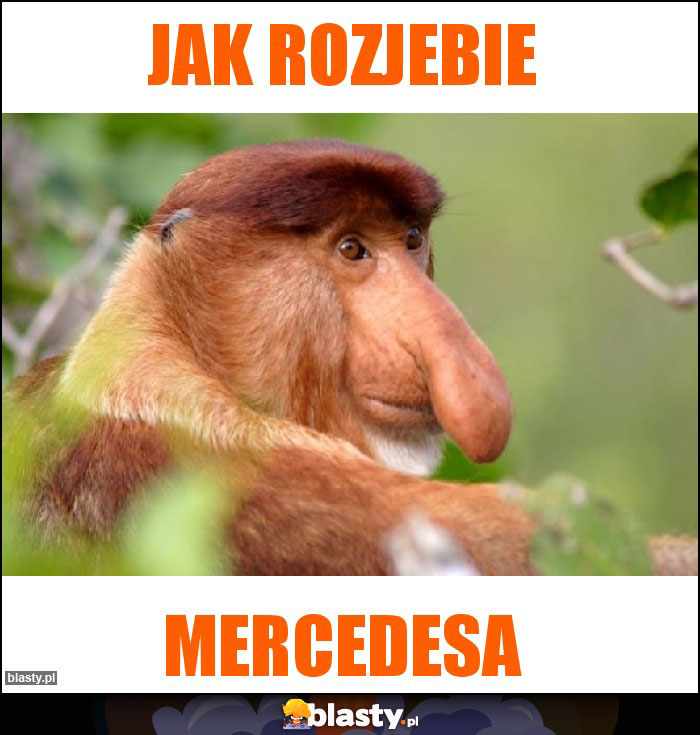 Jak rozjebie Jak rozjebie
