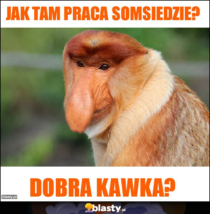 JAK TAM PRACA SOMSIEDZIE? JAK TAM PRACA SOMSIEDZIE?
