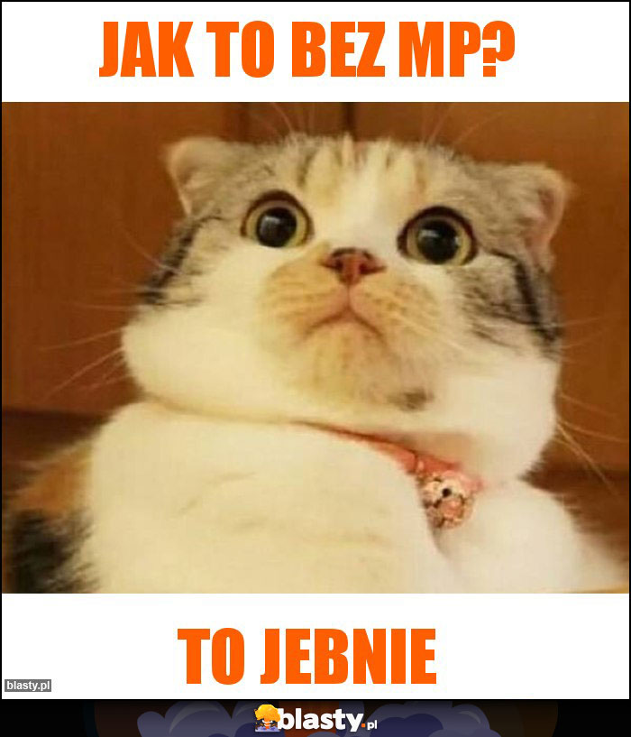 Jak to bez MP? Jak to bez MP?