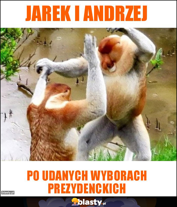 Jarek i Andrzej Jarek i Andrzej