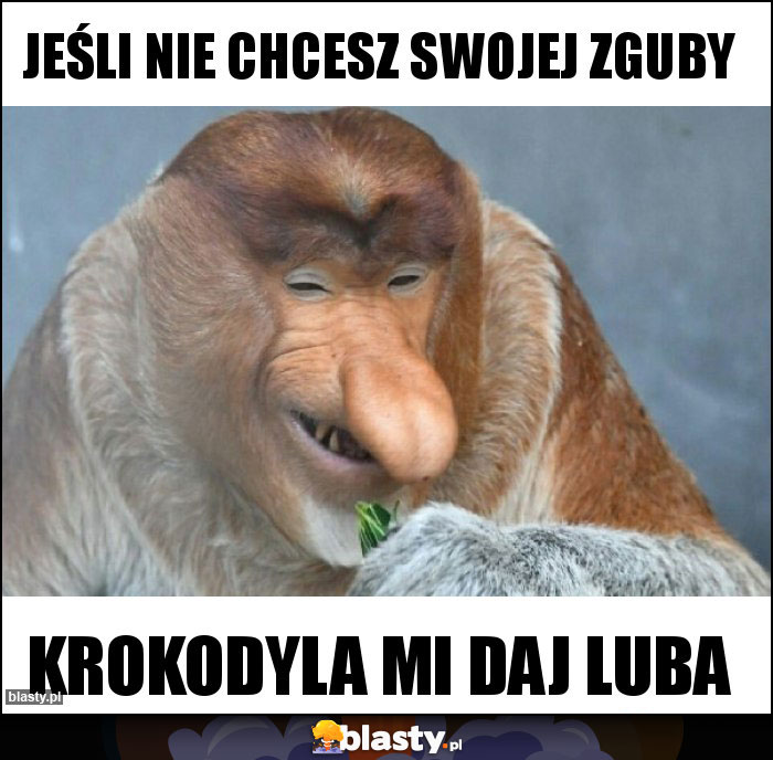 JEŚLI NIE CHCESZ SWOJEJ ZGUBY JEŚLI NIE CHCESZ SWOJEJ ZGUBY