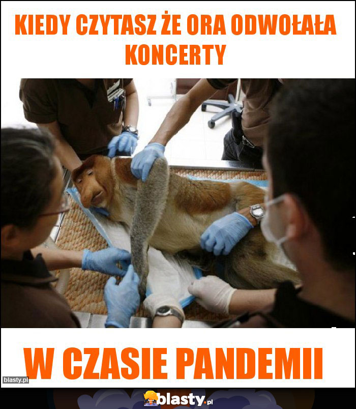 Kiedy czytasz że ora odwołała koncerty Kiedy czytasz że ora odwołała koncerty