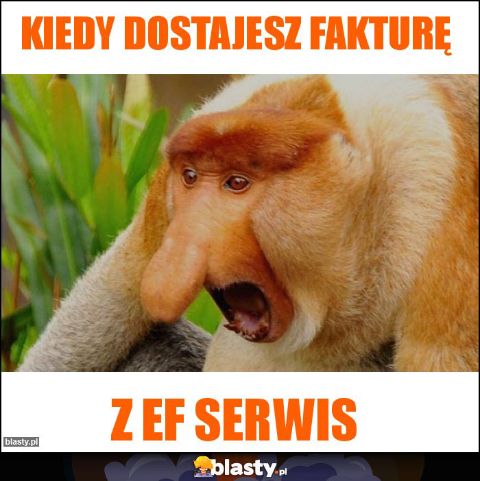 Kiedy dostajesz fakturę Kiedy dostajesz fakturę