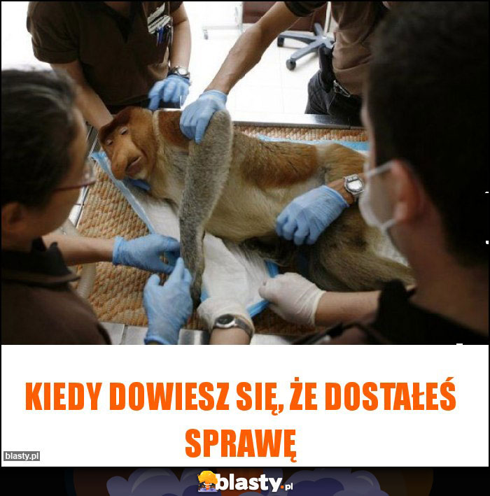 Kiedy dowiesz się, że dostałeś sprawę Kiedy dowiesz się, że dostałeś sprawę