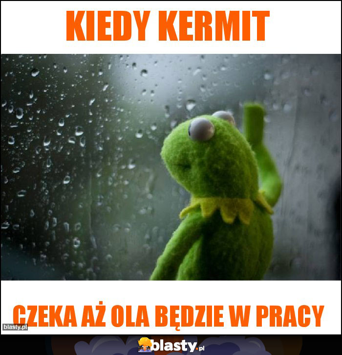 Kiedy Kermit Kiedy Kermit