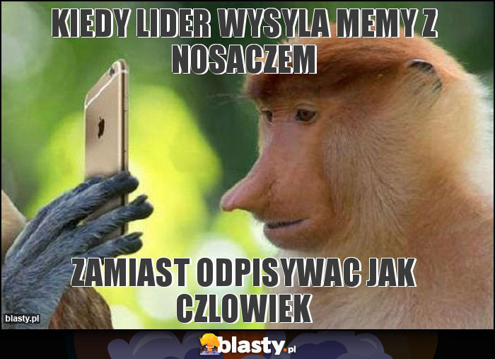 Kiedy lider wysyla memy z nosaczem