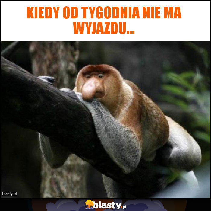 Kiedy od tygodnia nie ma wyjazdu... Kiedy od tygodnia nie ma wyjazdu...