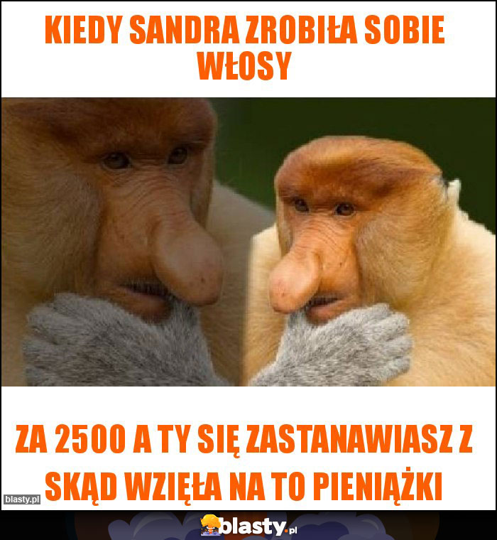 Kiedy Sandra zrobiła sobie włosy Kiedy Sandra zrobiła sobie włosy