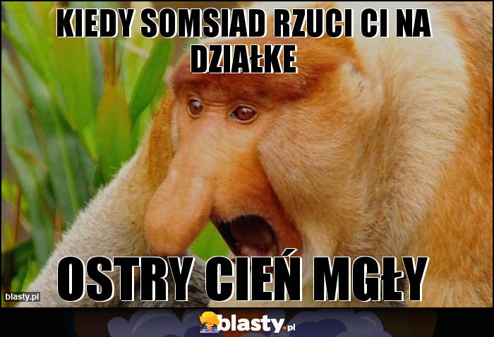kiedy somsiad rzuci Ci na działke kiedy somsiad rzuci Ci na działke
