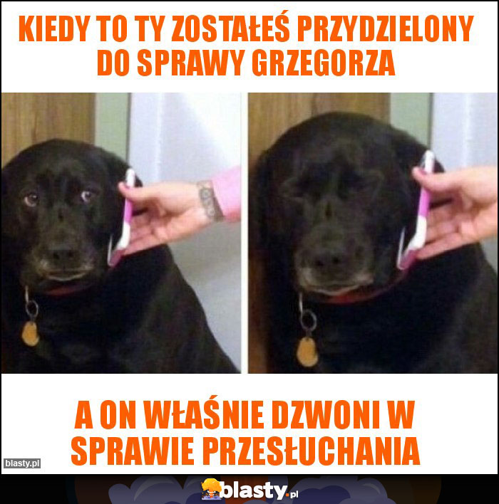 kiedy to ty zostałeś przydzielony do sprawy grzegorza kiedy to ty zostałeś przydzielony do sprawy grzegorza